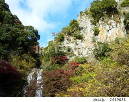 紅葉と箕面の滝 紅葉と箕面の滝 2419088
