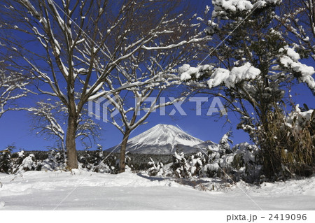 着雪と富士山 2419096