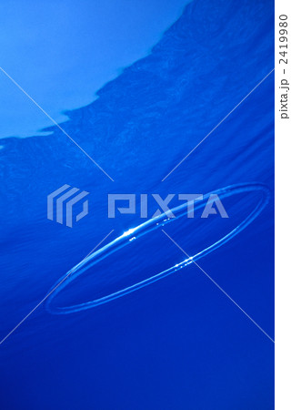 バハマでバブルリング 2419980