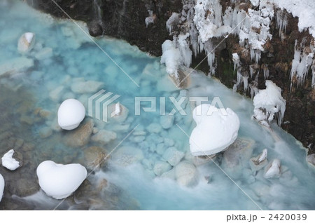 美瑛川 美瑛川 2420039