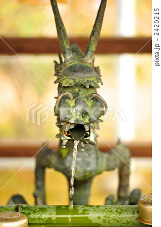 ドラゴン ドラゴン 2420215