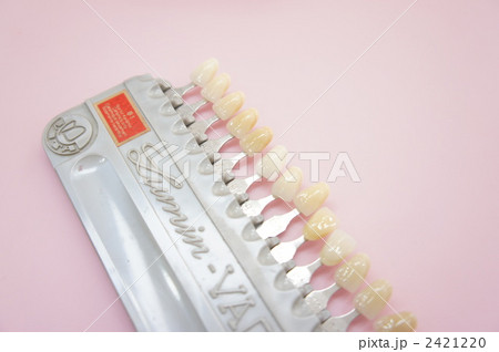 歯科イメージ（シェードガイド） 2421220