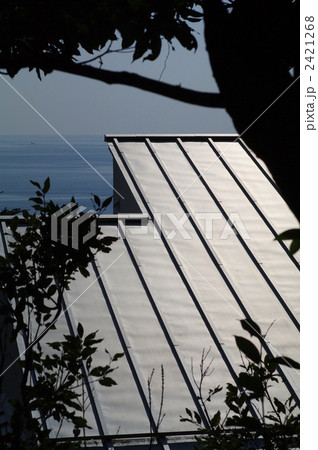 ガルバリウム鋼板の屋根 2421268