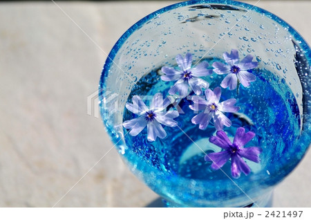 ガラスのコップ ガラスのコップ 2421497