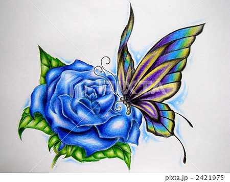 青いバラとチョウチョ 手書きのイラスト素材