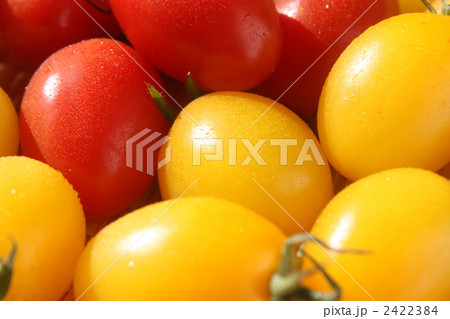 アイコトマト 2422384