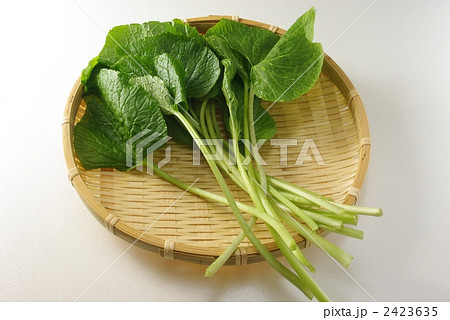 葉わさび 2423635