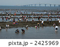 潮干狩り 2425969