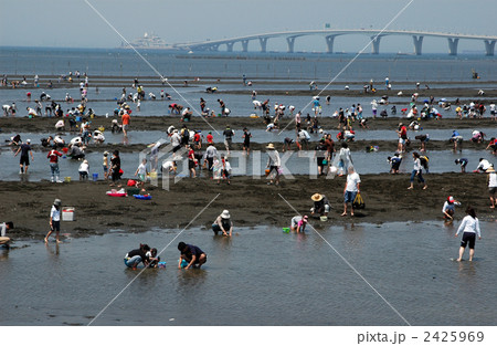 潮干狩り 2425969