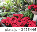 園芸店 2426446