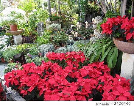 園芸店 2426446