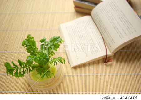 水栽培の大根と読みかけの文庫本 2427284