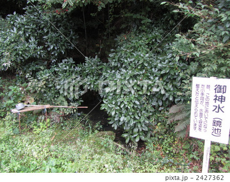 御出姫の鏡池 2427362