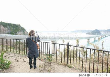 携帯写真 2427604