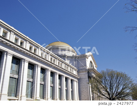 スミソニアンの国立自然史博物館 2427977