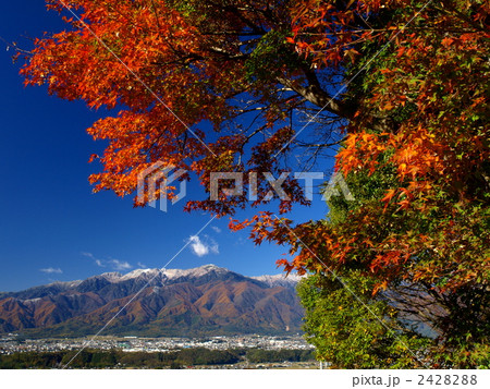 もみじと空木岳 もみじと空木岳 2428288