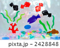 金魚鉢　金魚 2428848