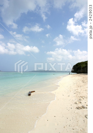 沖縄の海　波打ち際の流木 2429033