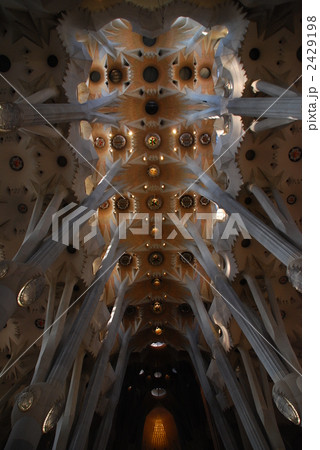 サグラダファミリア天井 2429198