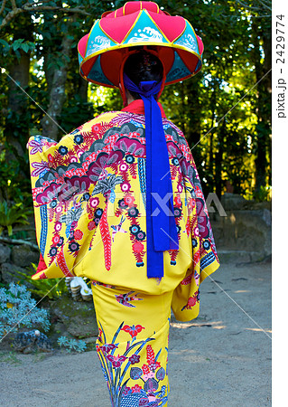 琉球舞踊 衣装 紅型 - 着物