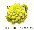カリブロ 2430039