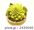 やりがい君 2430040