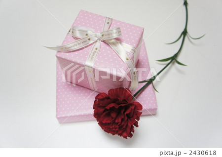 母の日のプレゼント 2430618