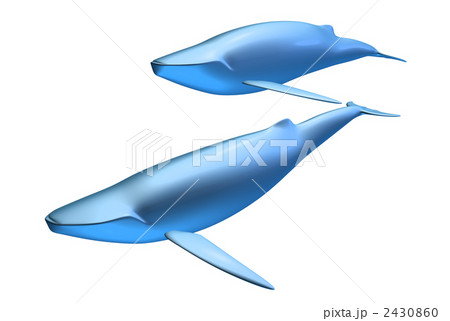 水質問題 水質汚染 ザトウクジラのイラスト素材