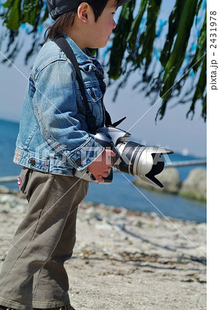 干しワカメと小さなカメラマン 干しワカメと小さなカメラマン 2431978