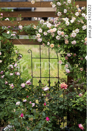 薔薇の庭 2432022