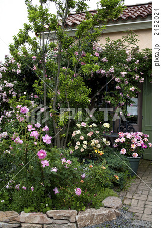薔薇の庭 薔薇の庭 2432024