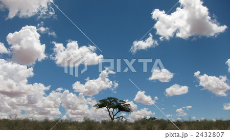 カラハリトランスフロンティア公園の青空 2432807