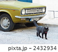 黒猫と車 2432934