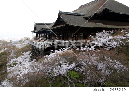 奥の院から見る桜に彩られた清水の舞台 2433249