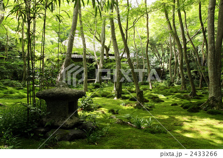 初夏の祇王寺 2433266