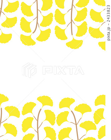 いちょう いちょう 2433823