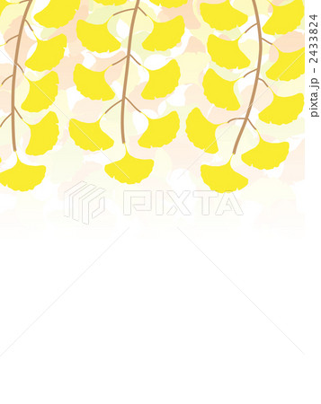 いちょう 2433824