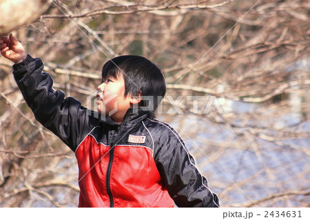 男の子 男の子 2434631