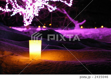 弘前城雪燈籠まつり 2435046