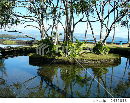 海の孤島 2435058