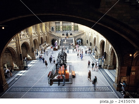 博物館1995 2435076