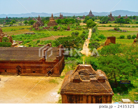 平原に林立するパゴダ（バガン／ミャンマー） 2435325