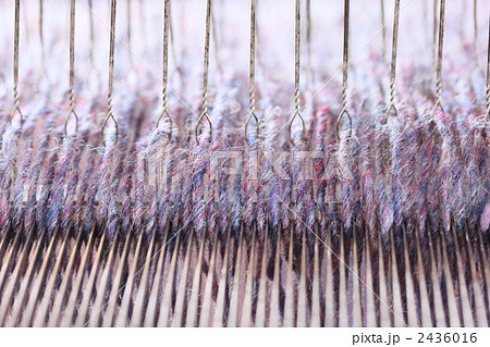 機織り 2436016