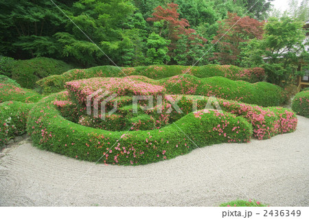 大池寺庭園 大池寺庭園 2436349