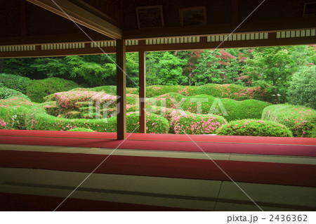 大池寺庭園 2436362