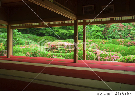 大池寺庭園 大池寺庭園 2436367