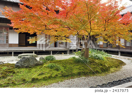 紅葉の日本庭園の写真素材