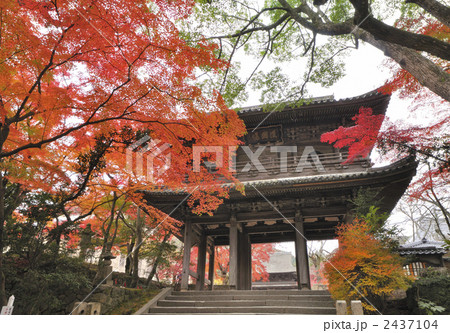 秋の功山寺 2437104