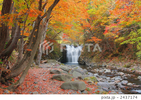 紅葉の止滝 2437174