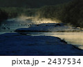 早朝の雪裡川 2437534